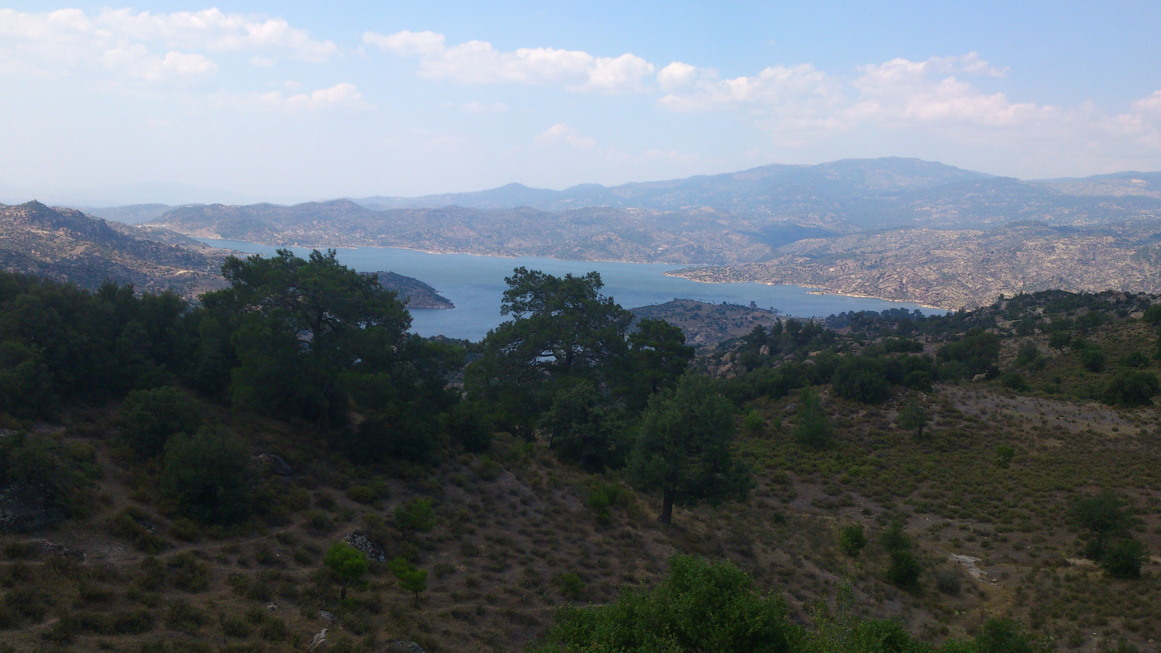 DSC_0055.jpg
