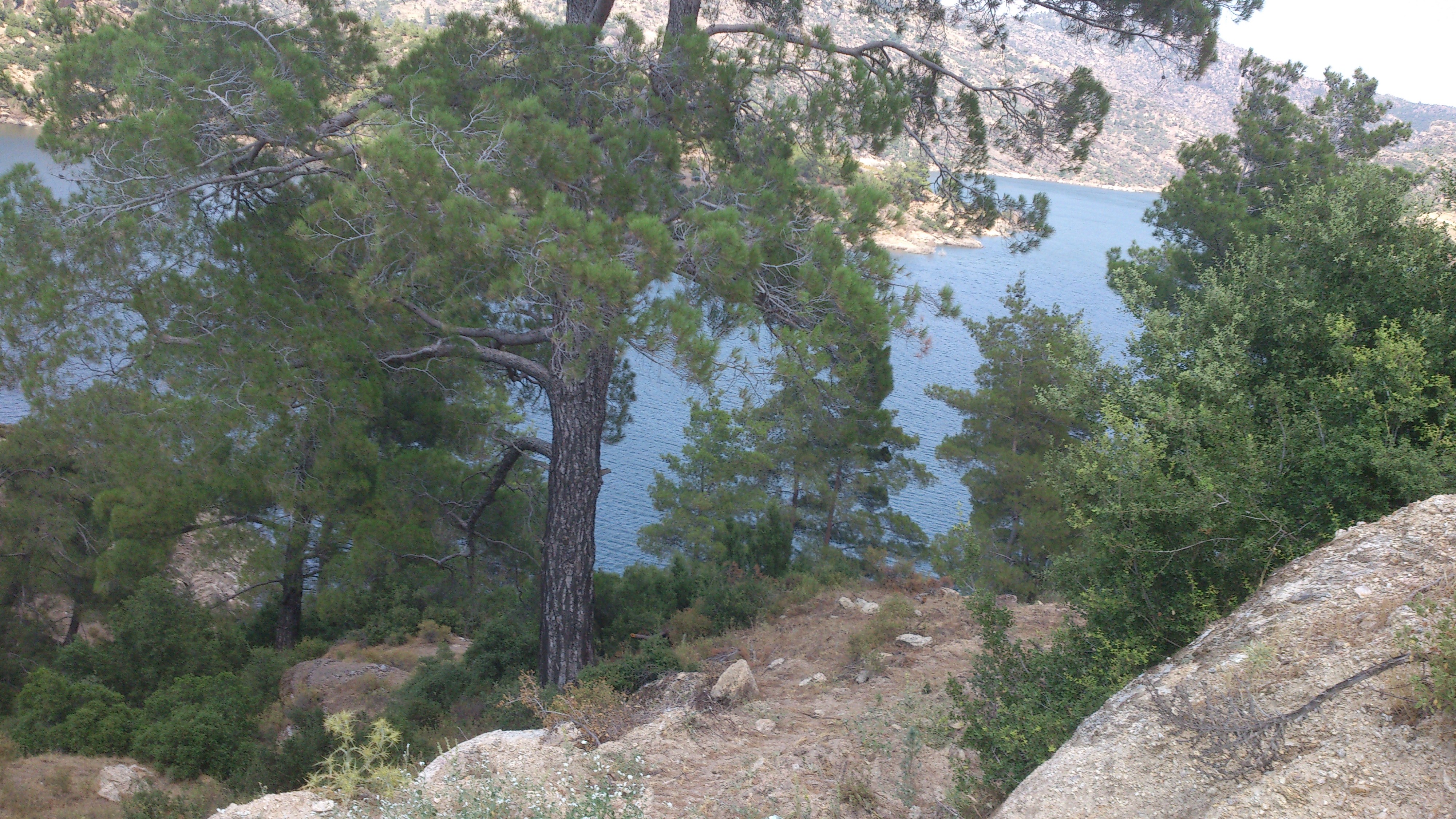 DSC_0057.jpg