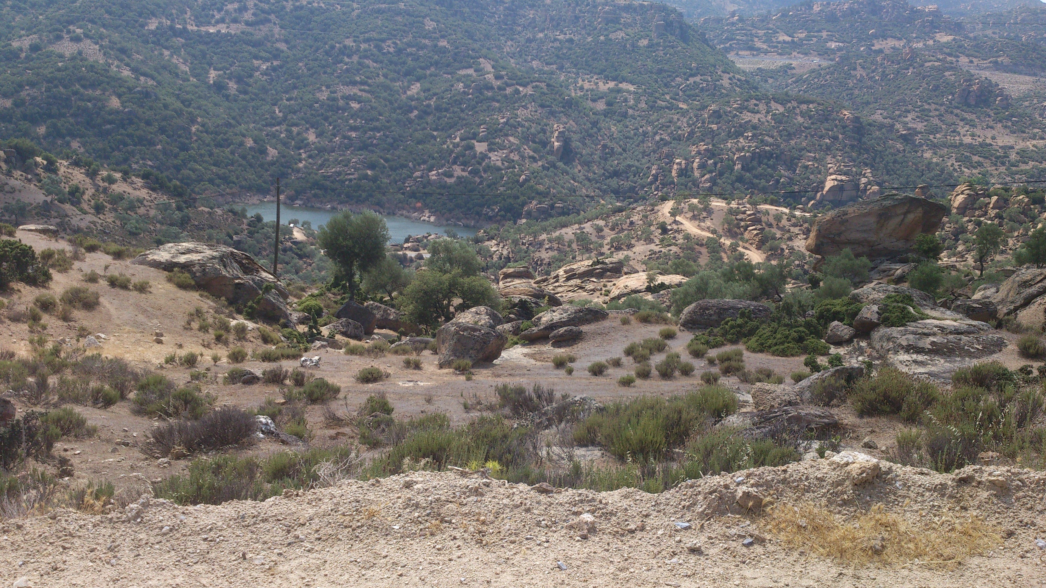 DSC_0064.jpg